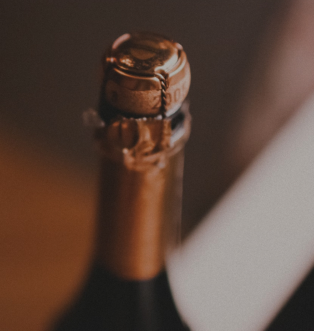 Champagnia